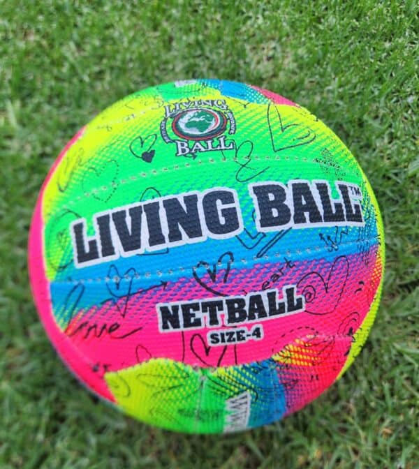 #2947 Netbal bal