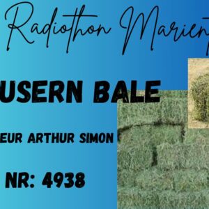 #4938 Lusern Bale 20x