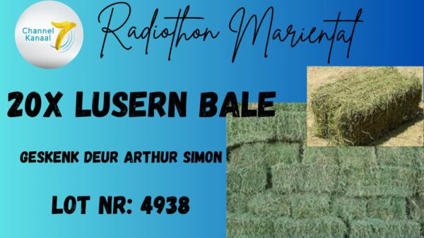 #4938 Lusern Bale 20x
