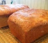#2068 VOLKORING BROOD