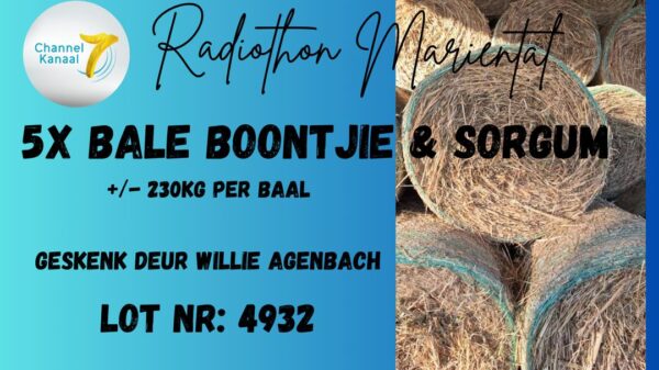 #4932 Ronde Boontjie & Sorgum Bale