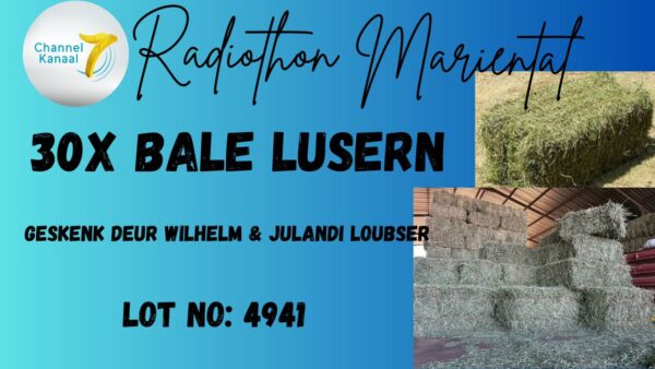 #4941 Lusern Bale 30x