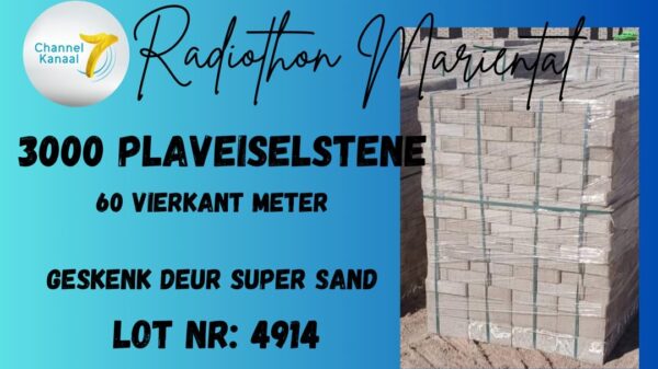 #4914 Plaveiselstene