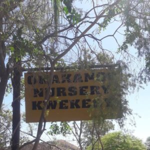 #8645 Okakango Gardens 1 x Nartjie boom, 1 x Lemoen boom, kompos en potting soil