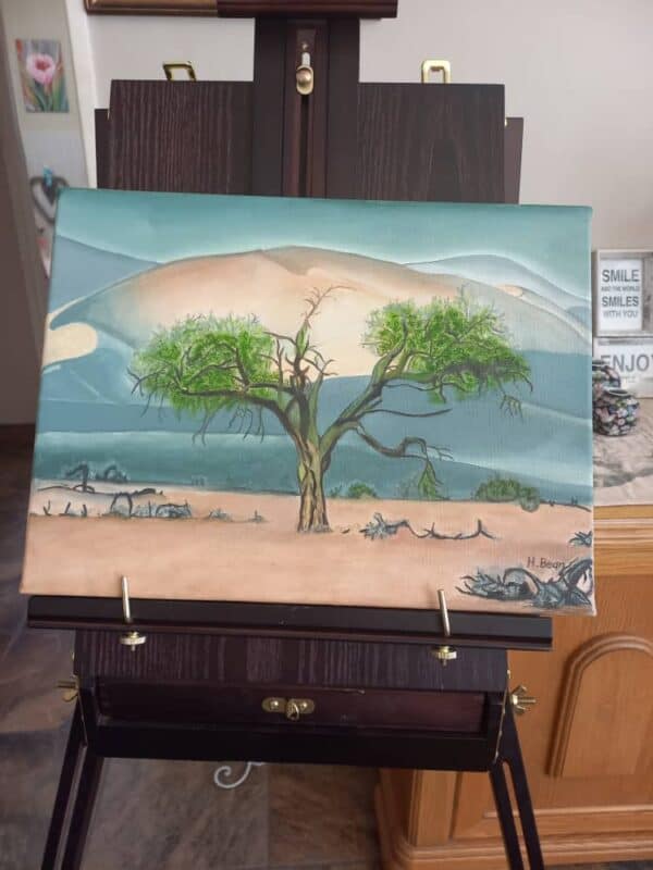 #8675 Landskap Skildery 30x40 Olieverf op canvas