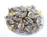 #4107 Oesters