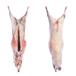 #1050 Lam Karkas tussen 16-17 kilo