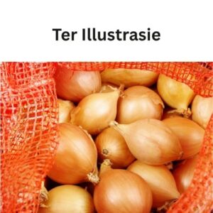 #8019 Uie 100 sakkie N$ 14 000