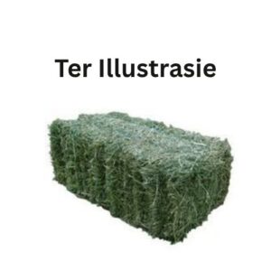 #8004 50 bale lusern N$ 5 500