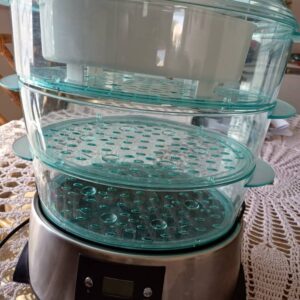 #8648 Russel Hobbs Steamer
