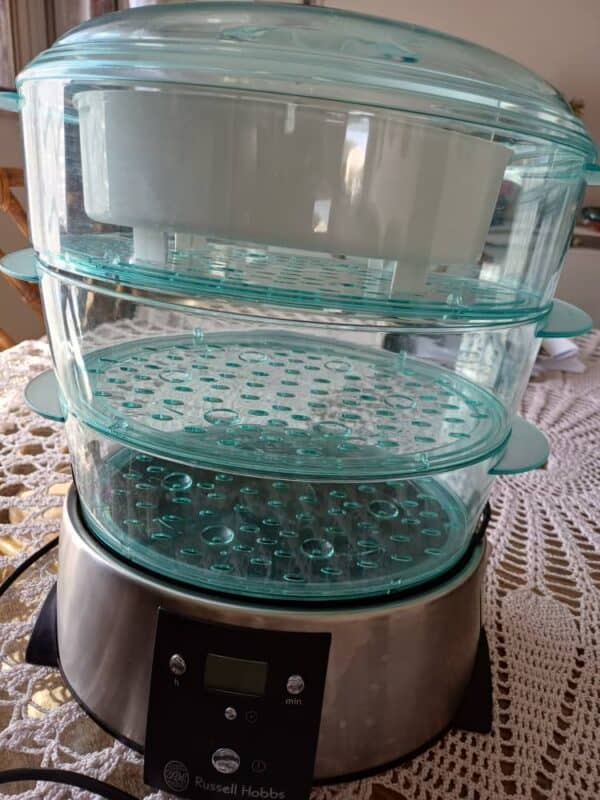 #8648 Russel Hobbs Steamer