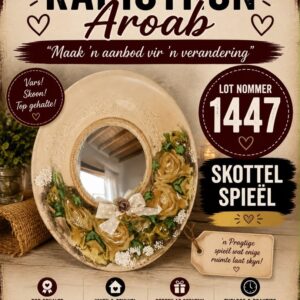 #1447 skottel spieël
