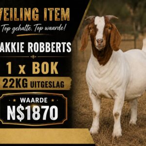 #2655: Slagbok (22kg uitgeslag)