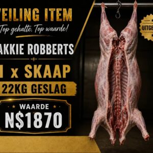 #2656: Slagskaap (22kg uitgeslag)