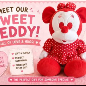 #2665: Rooi Teddy (60cm lank)