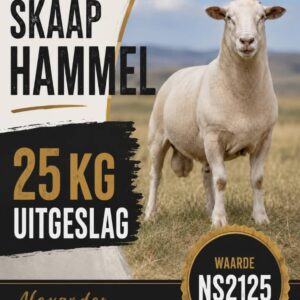 #2682: Slagskaap 25kg uitgeslag