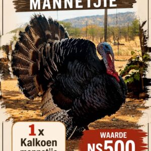 #2692: Kalkoen mannetjie
