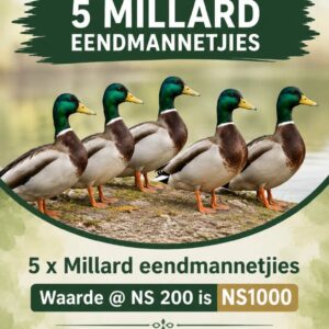 #2694: 5 x Millard eend mannetjies