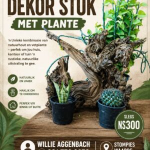#2702: Dekoratiewe stomp met plante 1