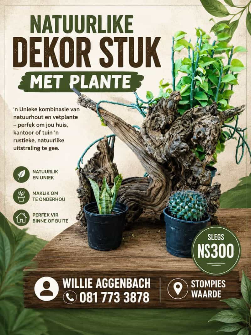 #2702: Dekoratiewe stomp met plante 1