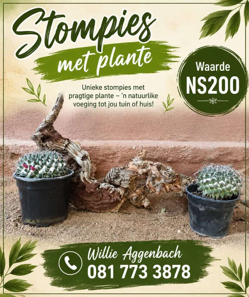 #2703: Dekoratiewe stomp met plante 2