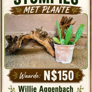 #2704: Dekoratiewe stomp met plante 3