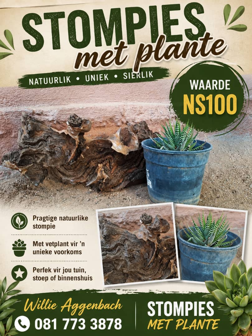 #2705: Dekoratiewe stomp met plante 4
