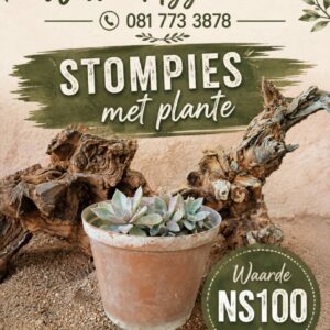 #2706: Dekoratiewe stomp met plante 5