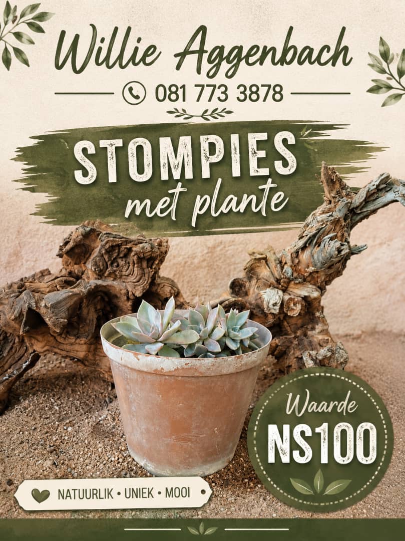 #2706: Dekoratiewe stomp met plante 5