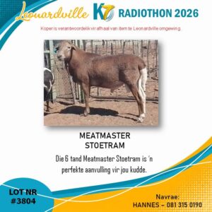 #3804 Meatmaster Stoetram