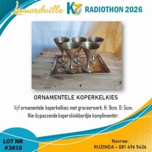 #3810 Ornamentele Koperkelkies
