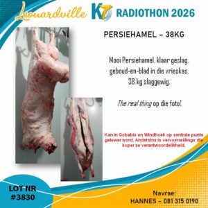 #3830 Persiehamel - 38kg
