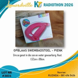 #3831 Opblaas Swembadstoel - Pienk