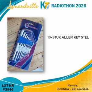 #3846 Allen Key Stel