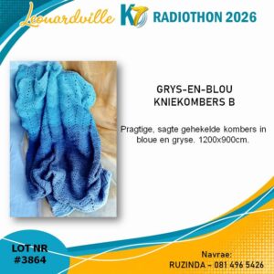 #3864 Grys-en-blou Kniekombers B