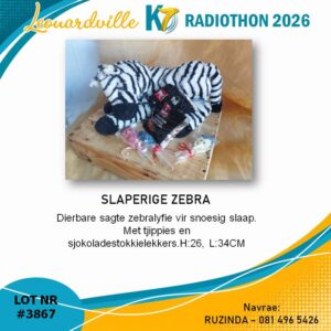 #3867 Slaperige Zebra