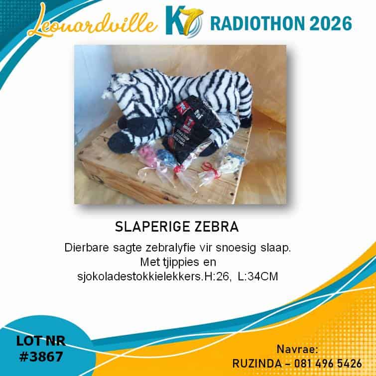 #3867 Slaperige Zebra