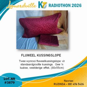 #3879 Fluweel Kussingslope
