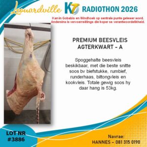 #3886 Premium Beesvleis Agterkwart - A