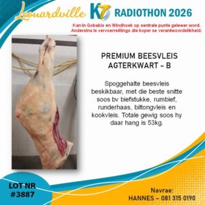 #3887 Premium Beesvleis Agterkwart - B