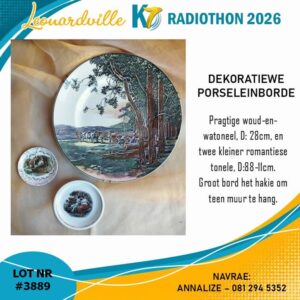 #3889 Dekoratiewe Porseleinborde