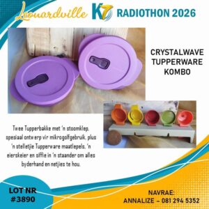 #3890 Crustalwave Tupperware Kombo