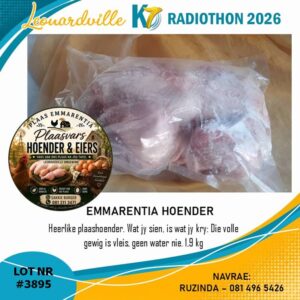 #3895 Hoender 2