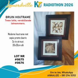 #0675 & 0676 Bruin Houtrame