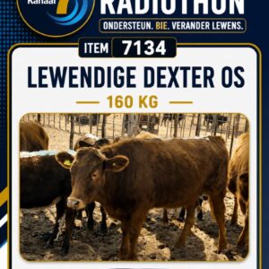 #7134 Dexter Os