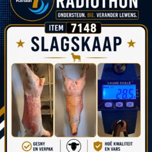 #7148 Geslagte skaap boud en blad gesny