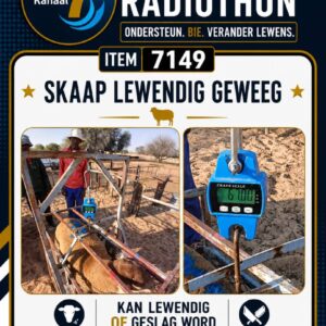 #7149 Skaap Lewendig of Geslag