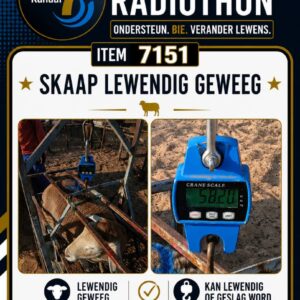 #7151 Skaap Lewendig of geslag
