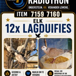 # 7160 12x Lagduifies