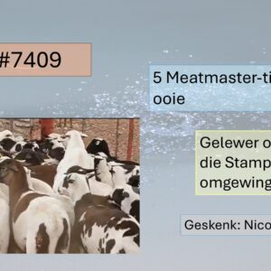 #7409 5 ooie - Meatmaster tipe